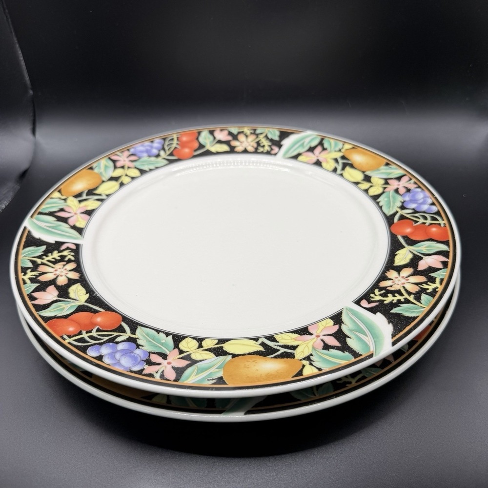 Lynn's China "Cocktail" Stoneware Dinner Plates Set/2‎